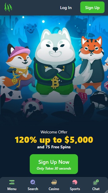 wild-io Casino sans Verification 2026