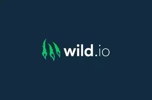 Wild.io - Casino sans 3D Secure
